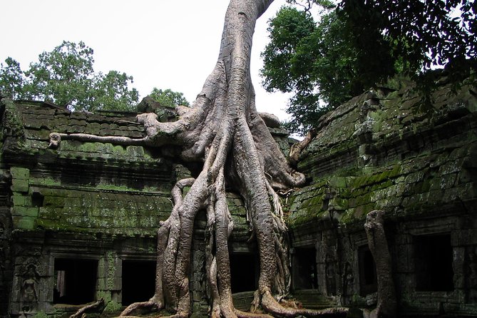 Private Multi-Day VIP Tour in Siem Reap - Intricate Carvings of Banteay Srei