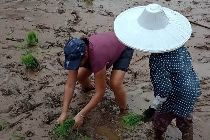Private Multiday Tour in Minangkabau With Accommodation 4 Days - Cancellation Policy and Reviews
