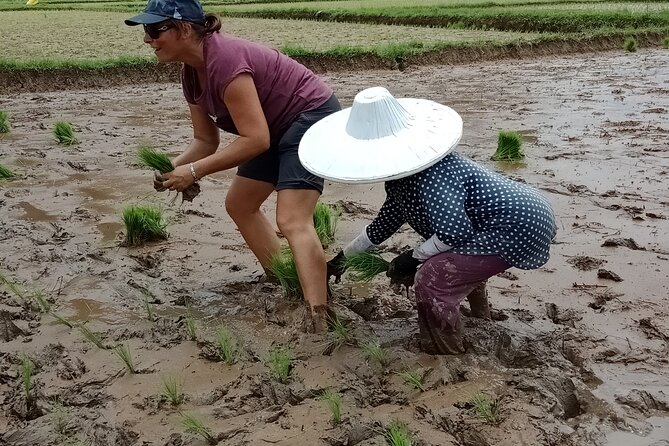 Private Multiday Tour in Minangkabau With Accommodation 4 Days - Raflesia Arnoldi Flower Trekking