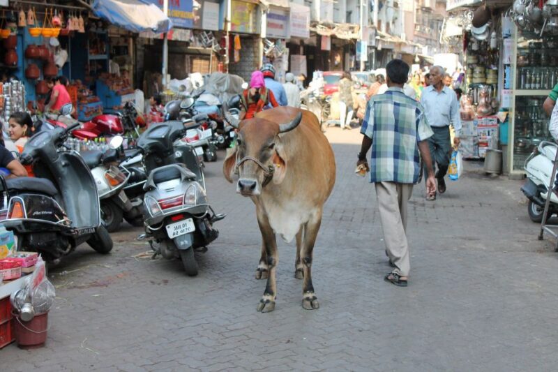 Private Mumbai by Dawn Morning Tour With Guide & Ac Car - Important Information