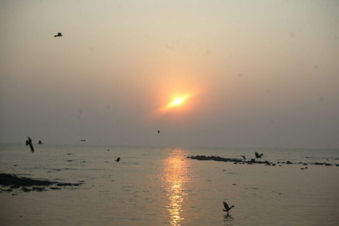 Private Mumbai Sightseeing Tour by Car - Pricing and Availability