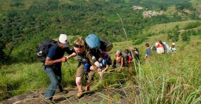 Private Munnar Day Tour: Trekking & Scenic Highlights - Meesapulimala Trek