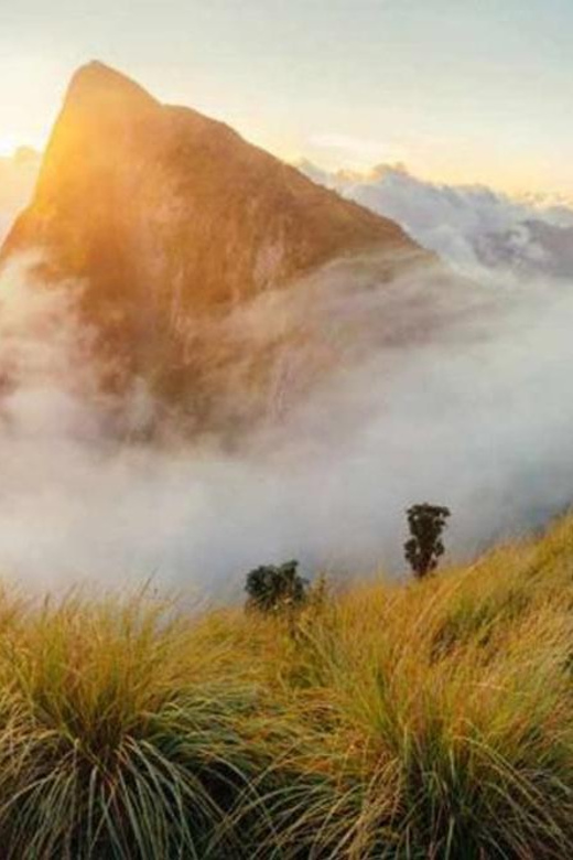 Private Munnar Day Tour: Trekking & Scenic Highlights - Mattupetty Dam