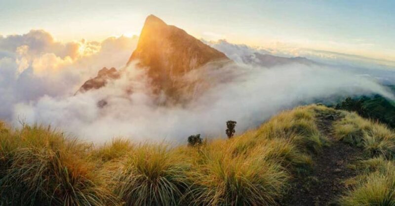 Private Munnar Day Tour: Trekking & Scenic Highlights - Echo Point