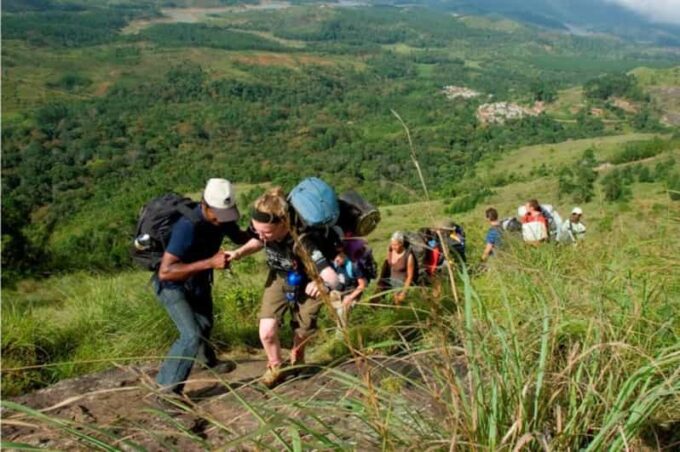 Private Munnar Day Tour: Trekking & Scenic Highlights - Tea Museum