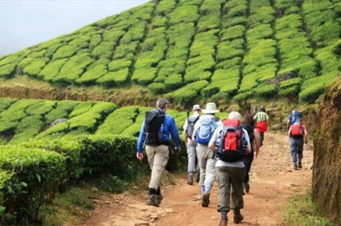 Private Munnar Day Tour: Trekking & Scenic Highlights - Frequently Asked Questions