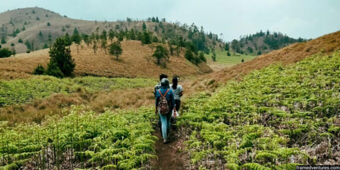 Private Munnar Day Tour: Trekking & Scenic Highlights - Recap