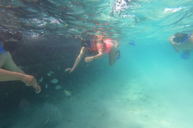 Private MUSA Snorkeling Experience at Isla Mujeres and Cancun - Inclusions