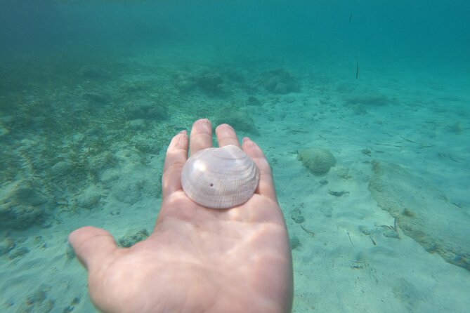 Private MUSA Snorkeling Experience at Isla Mujeres and Cancun - Underwater Attractions