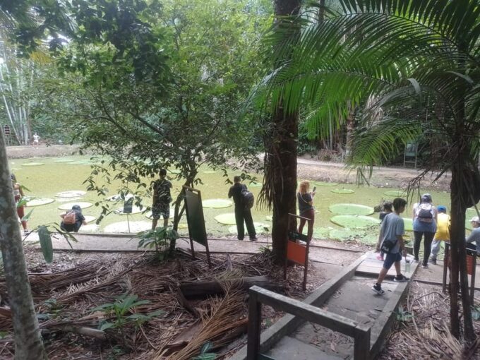 Private Musa Tour (Botanical Garden) - What to Expect