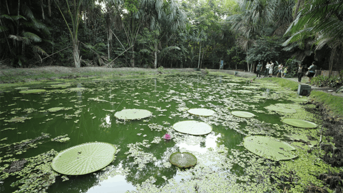 Private Musa Tour (Botanical Garden) - Frequently Asked Questions