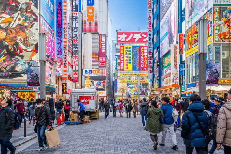 Private Must-see Sakura Journey in Tokyo City - Customization and Flexibility