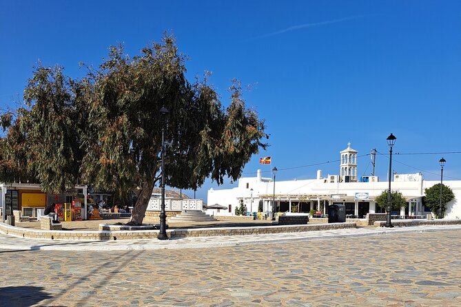 Private Mykonos Island Sightseeing Tour. - Participant Information