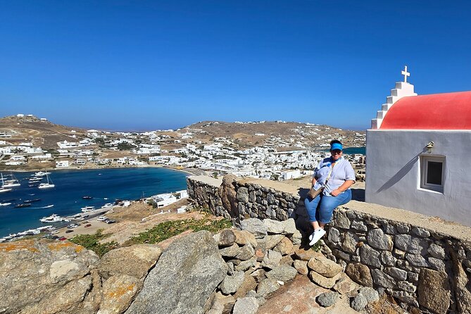 Private Mykonos Island Tour by Luxury Minibus up to 11 Passengers - Cancellation Policy