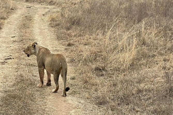 Private Nairobi National Park Day Tour - Additional Tour Information