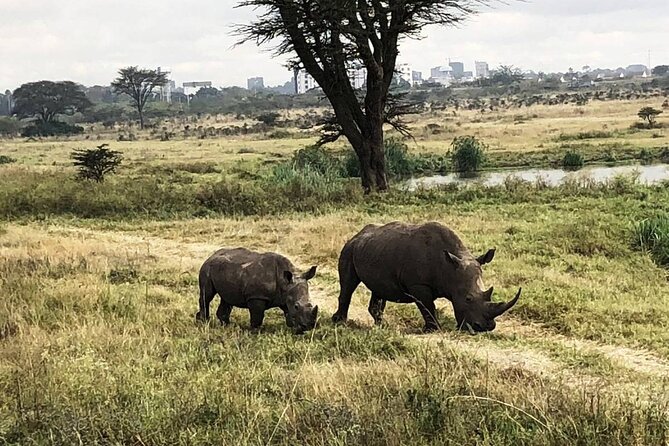 Private Nairobi National Park Day Tour - Customer Reviews