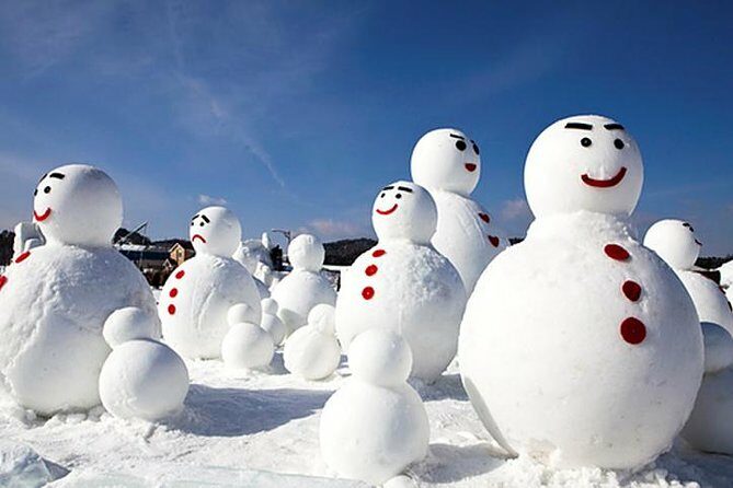 Private Nami Island, Elysian Ski and garden of morning calm Tour - An In-Depth Look at the Tour Experience