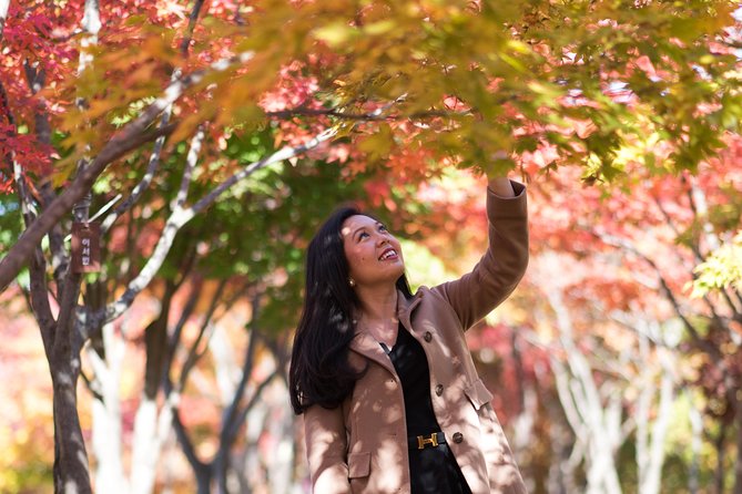 Private Nami Island Photo Shoot and Tour With a Photographer - Stress-free Experience for Families and Couples