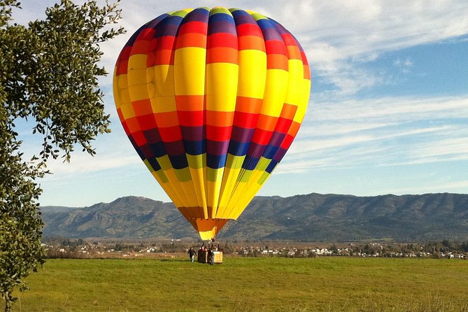 Private Napa Valley & Sonoma Wine Country Combo Tour From San Francisco - Wine Tasting Experiences