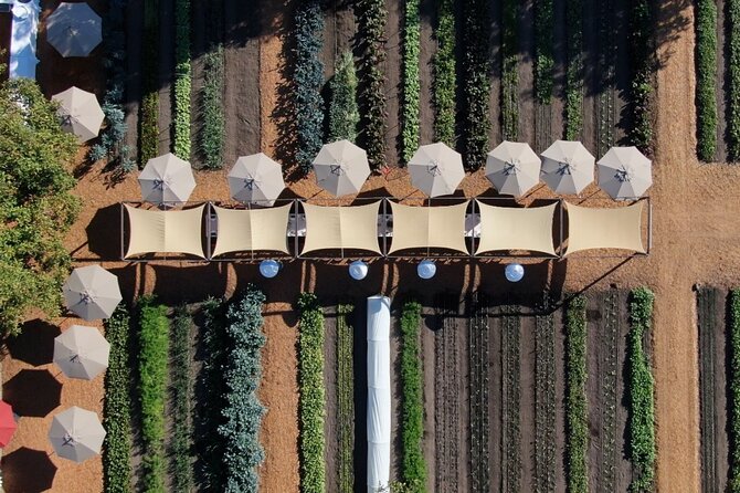 Private Napa Wine Tour Up To 6 Guests - Luxury Transportation