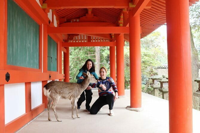 Private Nara Tour and Sake Tasting (Departing from Kyoto/Nara) - The Itinerary: What You’ll See and Do in Nara