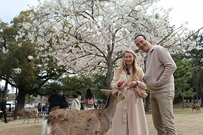 Private Nara Tour and Sake Tasting (Departing from Kyoto/Nara) - Authentic Encounters and Real Reviews