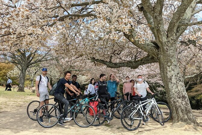 Private Nara Tour and Sake Tasting (Departing from Kyoto/Nara) - FAQ