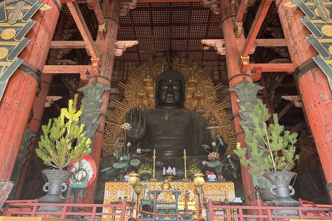 Private Nara Tour and Sake Tasting (Departing From Kyoto/Nara) - Key Points