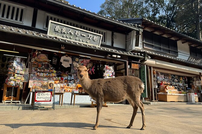 Private Nara Tour and Sake Tasting (Departing From Kyoto/Nara) - Transportation Information
