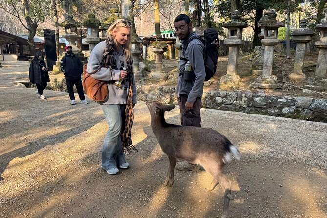Private Nara Tour and Sake Tasting (Departing From Kyoto/Nara) - Health and Accessibility