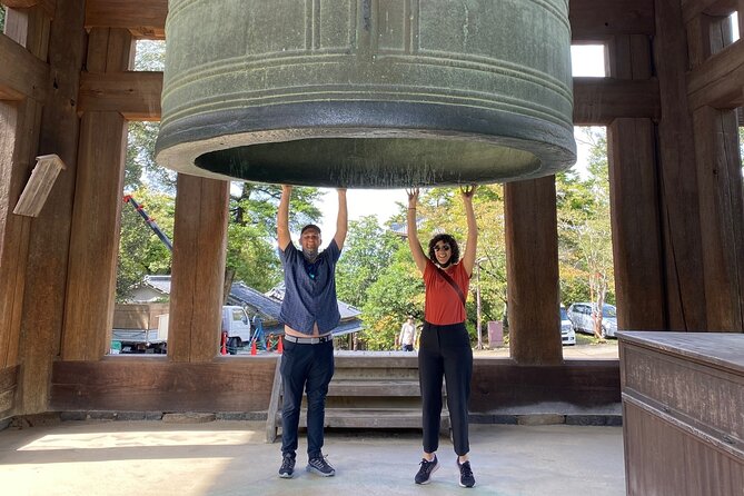 Private Nara Tour With Government Licensed Guide & Vehicle (Osaka Departure) - Accessibility