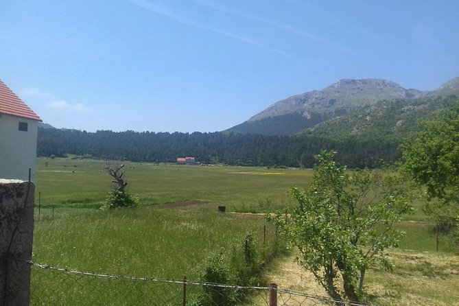 Private National Park Lovcen With Food and Wine Tasting - Customizing the Excursion