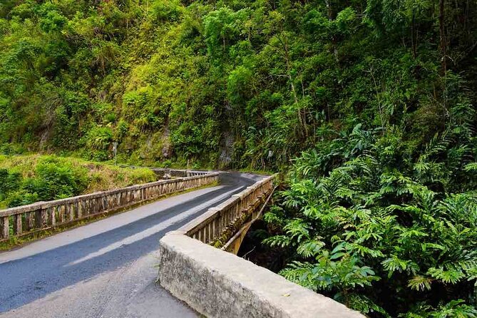 Private Native Tour of the Road to Hana With Cultural Lunch Show - Traveler Expectations