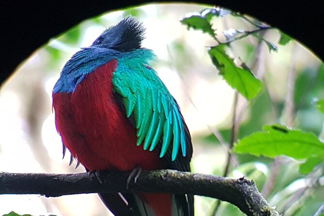 Private Natural History Walk in Monteverde - Meeting Information