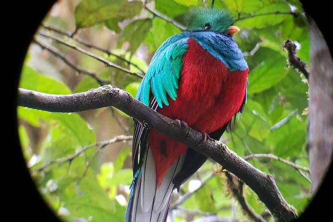 Private Natural History Walk in Monteverde - Meeting Information