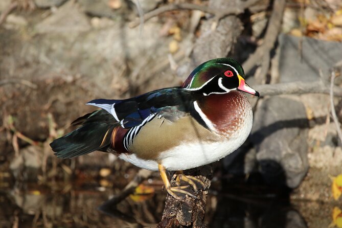 Private Nature Tour for Couples - Inclusions
