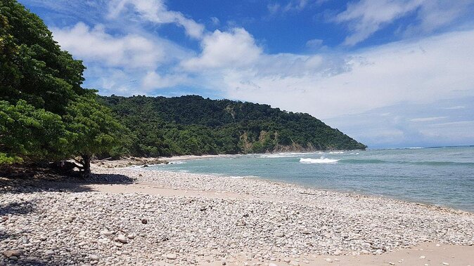 Private Nature Tour in Cabo Blanco Park Costa Rica - Key Points