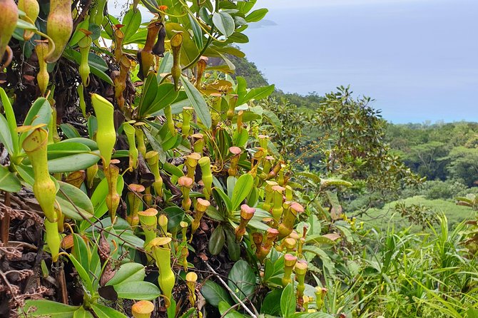 Private Nature Tours & Trail 1 to 5 Persons - Booking Information