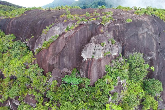 Private Nature Tours & Trail 1 to 5 Persons - Scenic Highlights