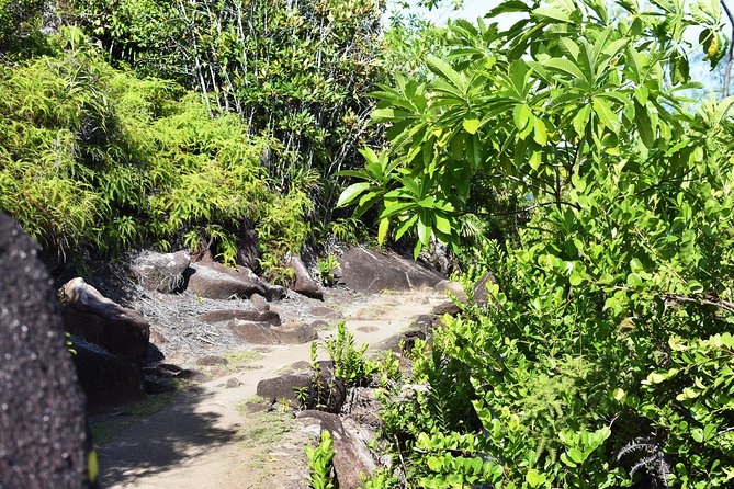 Private Nature Trail (Hiking) (1-2 Persons) - Reviews and Booking Process