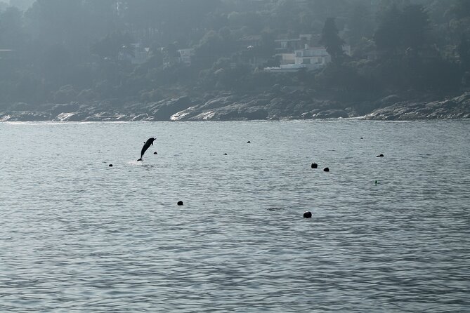 Private Nautical Tour Penguin Island, Cachagua, Valparaíso - Itinerary Highlights