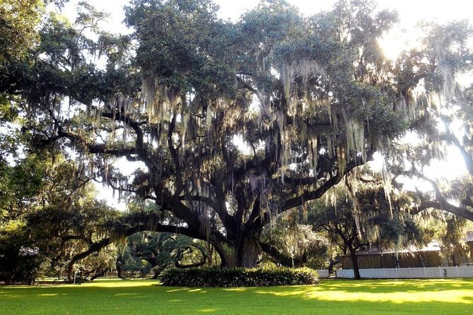 Private New Orleans City Tour With Destrehan Plantation/Cemetery - Experience Accessibility