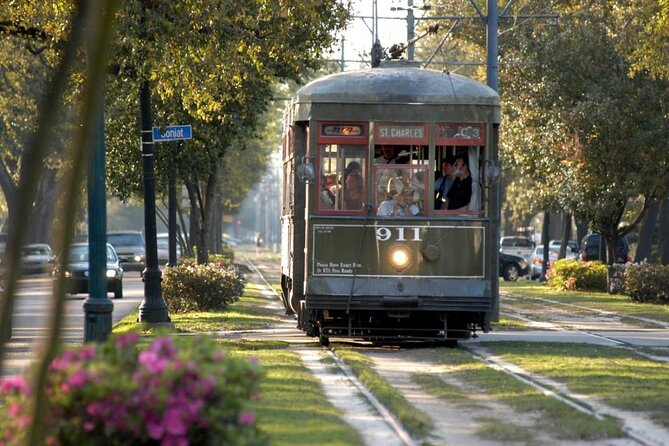 Private New Orleans City Tour With Local Expert Guide - Insights From the Local Guide