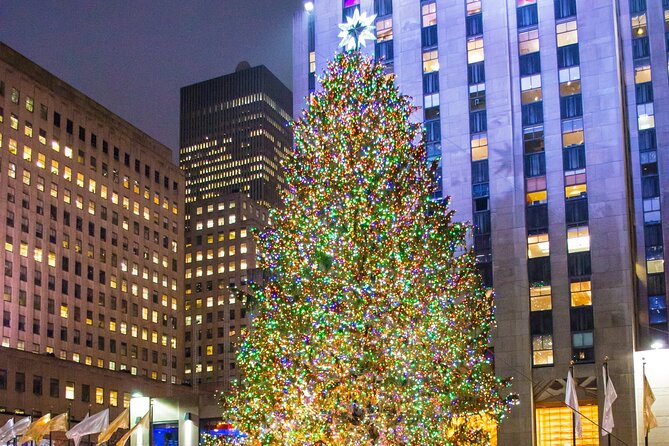 Private New York Christmas Tour With Driver and Guide - Customizing the Tour