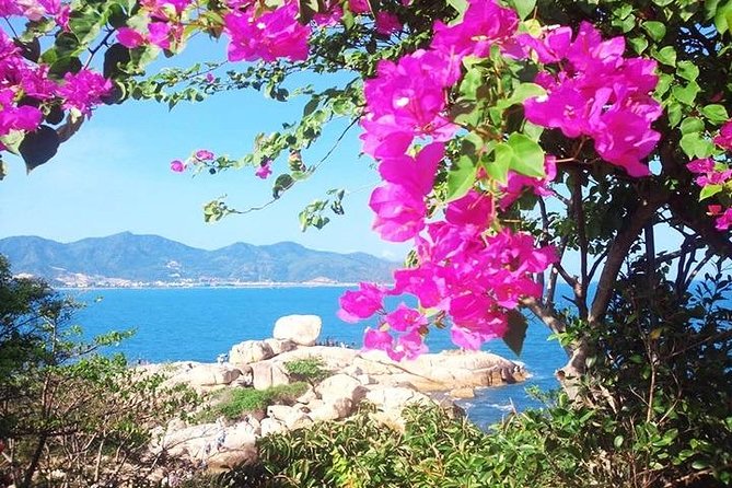 Private Nha Trang City Excursion (Haft Day Program) - Explore Nha Trangs Highlights