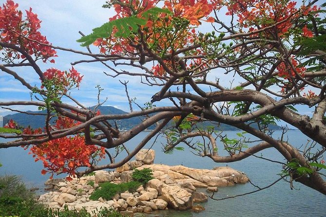 Private Nha Trang Dalat Tour in One Day Include Lunch( 12hours) - Inclusions