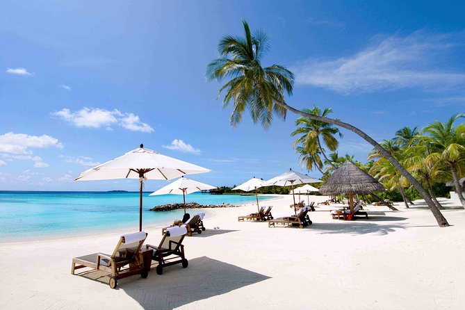 Private Nha Trang Full Day City Tour - Good To Know