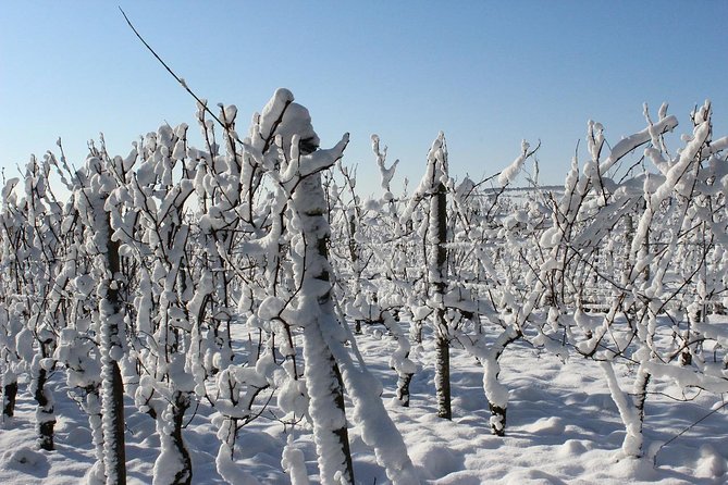 Private Niagara Ice Wine Tour - Exclusions