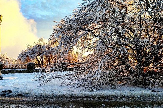 Private Niagara Ice Wine Tour - Pickup and Timing