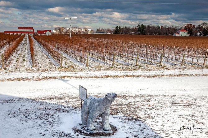 Private Niagara Ice Wine Tour - Group Size and Accessibility